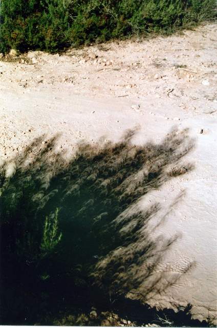 114